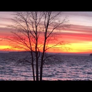 Meet your Posher, Carol